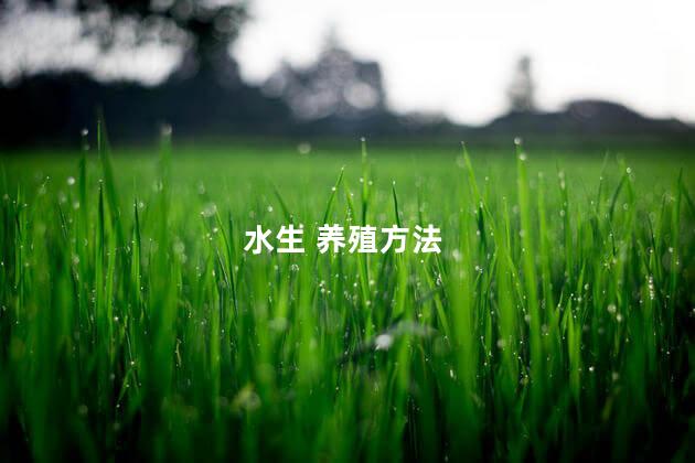 水生 养殖方法